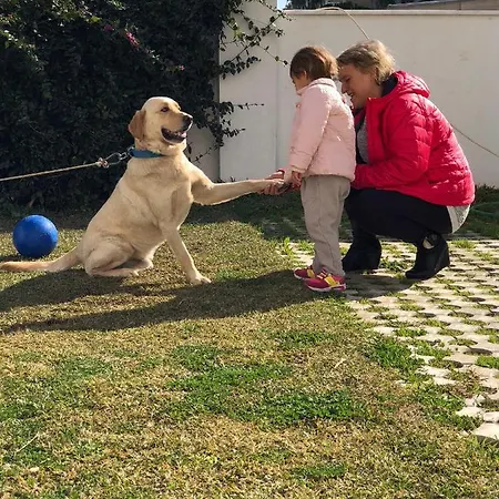 Belka Golf Delux Poolside Apartament *